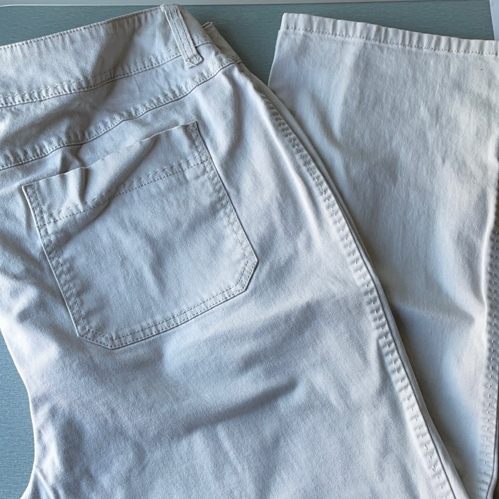 Lane Bryant Pants
